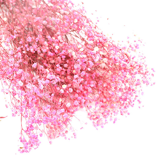 특별한공예샵,핑크안개꽃 프리져버드플라워 듬뿍한단