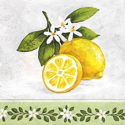 레몬과꽃 냅킨 K-30-041