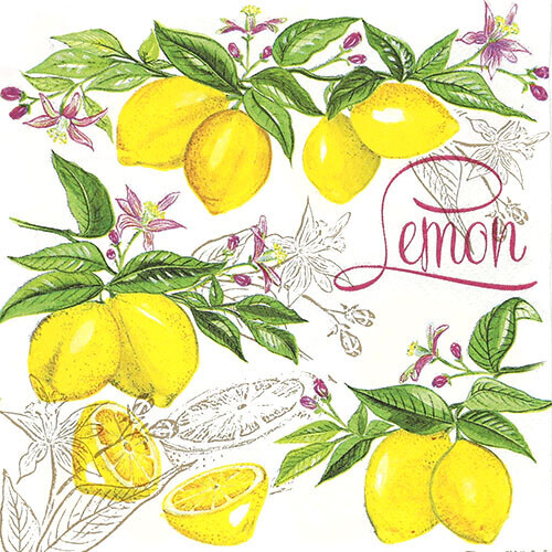 레몬 냅킨 K-33-029