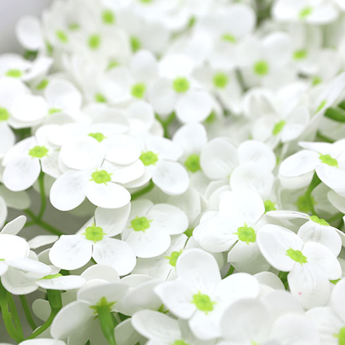 하얀색 비누수국 40송이 한 박스 비누꽃 꽃대미포함