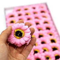 비누꽃 거베라 분홍색 50송이 한박스 꽃대미포함