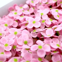 분홍색 비누수국 40송이 한 박스 비누꽃 꽃대미포함