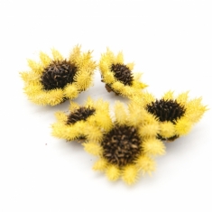 뾰족꽃 노랑 5개 꽃머리 E-05-019