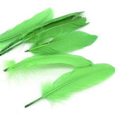 초록깃털 10개 대 20cm안팎 A-05-144