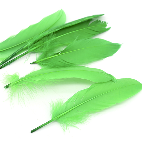 특별한공예샵,초록깃털 10개 대 20cm안팎 A-05-144