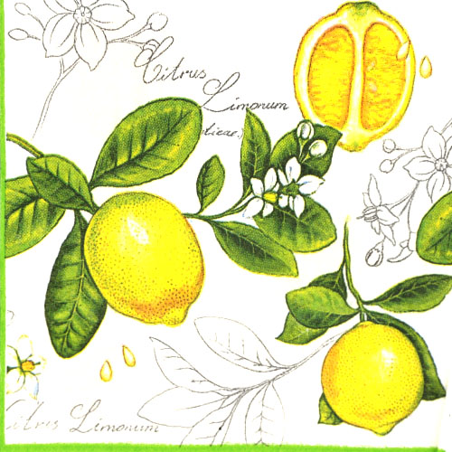 특별한공예샵,레몬 냅킨 K-23-036
