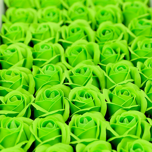 녹색 비누장미 50송이 한박스 꽃대미포함