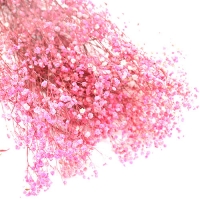 핑크안개꽃 프리져버드플라워 듬뿍한단
