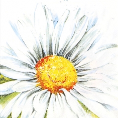 흰꽃 냅킨 K-17-048