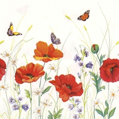 여름꽃과 나비 냅킨 K-07-024