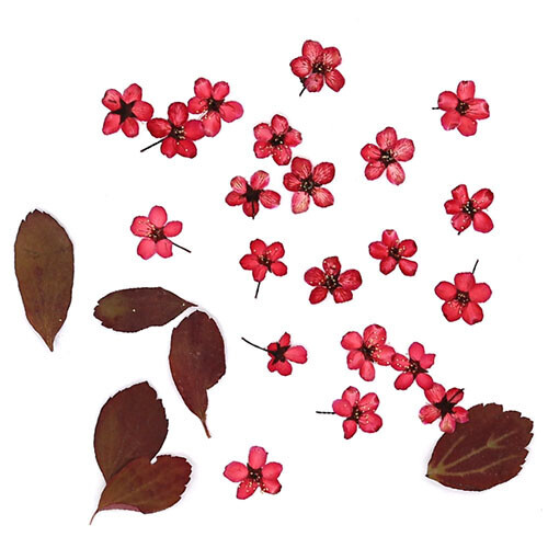 조팝 빨강 약1cm 20개 + 잎새 B-03-105