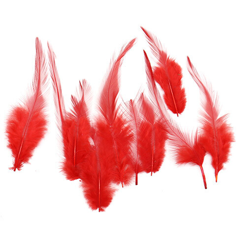 특별한공예샵,빨강깃털 10개 A-05-142