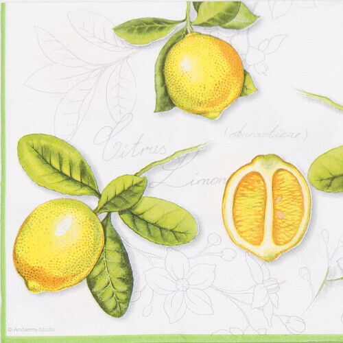레몬 냅킨 K-06-039