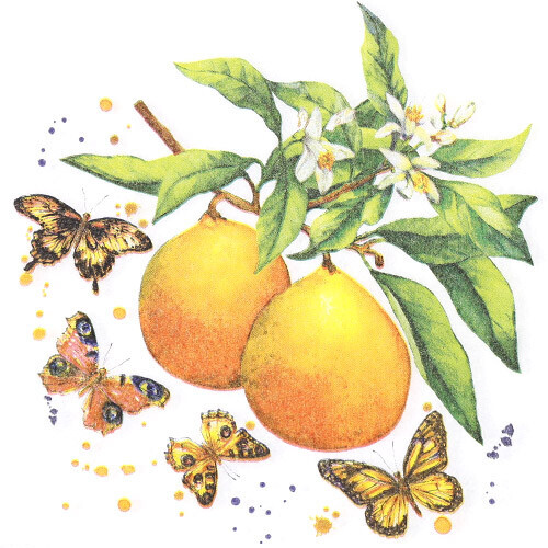 특별한공예샵,나비와 오렌지 냅킨 K-33-024