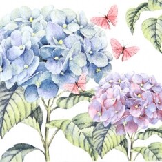 수국 꽃 25냅킨 K-32-041