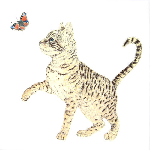 나비 고양이 냅킨 K-34-009