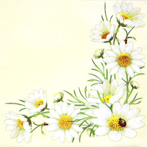하얀꽃 냅킨 K-29-049